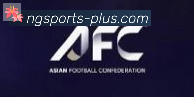 南宫体育合作伙伴