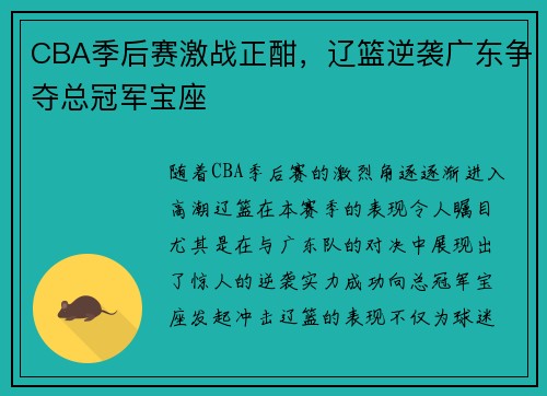 CBA季后赛激战正酣，辽篮逆袭广东争夺总冠军宝座